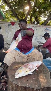 2.1K views · 35 reactions | most fastest fish cutter KF FISH CUTS | KF FISH CUTS | Facebook