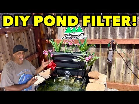 CHEAP EASY DIY BAKKI SHOWER FILTER!
