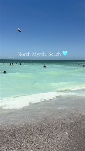 Clearest water I’ve never seen in Cherry Grove 🐬🩵#cherrygrovebeach | north myrtle beach