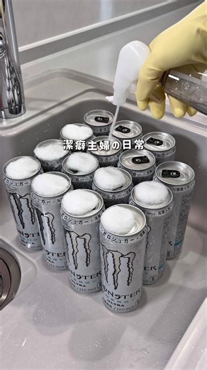 リクエスト頂いてたモンスター洗う動画 遅くなりました🥲🙏🏻🫧 想定される質問の答え↓ ①ネイルは気になりません。気になるならしてません ②添加物は気になりません ③家族に強要はしてないですが協力してもらう部分はあります ④菌やウイルスが気になるわけじゃありません ⑤完璧に除菌してるわけではないので病気になるときはなります ⑥災害時はこんなことしてられないのでやらないと思います 元販売職でみなさんがきっと想像もつかない・信じられないような行動をとられる方をたくさん見てきたため、商品をそのまま家に持ち込むのがどうしても嫌で菌やウイルスを気にしての除菌ではなく、自分の気持ちに折り合いをつけるために洗ったり除菌をしてます。見たくない方はスワイプしてください。 ････････････････････････････････････････････ ※無断転載防止のため透かしをいれてます。 ※本動画の無断転載を禁止します。 Unauthorized reproduction or use of this video is strictly prohibited. 未经许可，禁止转载或使用