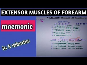 EXTENSOR MUSCLES OF FOREARM MNEMONIC,How to remember extensor muscles of forearm