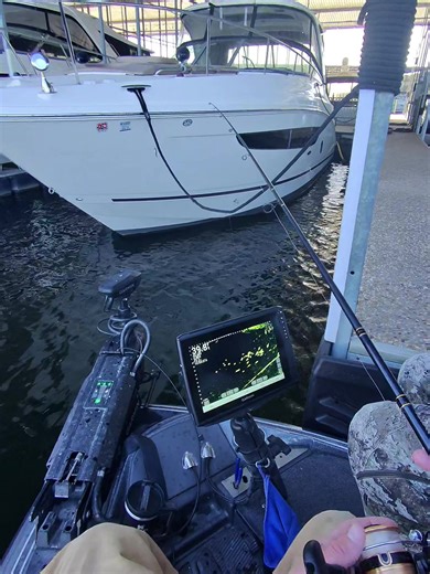 Bye bye Mr slab😂 #fishing #fyp #crappie #crappieguide #livescope