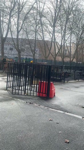 Free flight training for Sun Conures