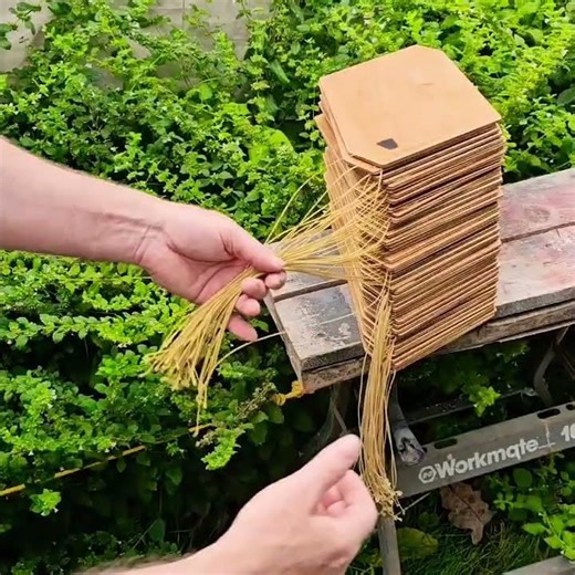 Off-Grid Portable Power | Apparent Wind Turbine in Action ⚡ #shorts