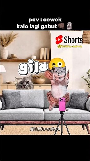 what kind of girl..?🗿🗿#shorts #cat #meme #funny #entertainment #laughing #funny #cat #joke #catlove