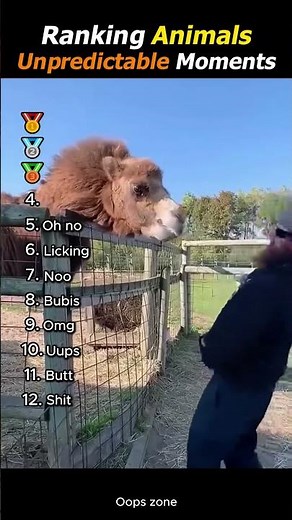I Ranked The Most Unpredictable Animal Moments Ever Caught 🐾💀🔥