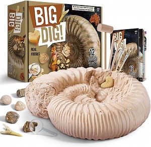 Piano Potato Big Dig Fossil Excavation Kit for Kids Ages 6+, 12 Real Fossils (Shark Teeth, Dino Poop, Corals & More) with Tools, STEM Educational Paleontology Toy – Gift for Girls & Boys - Walmart.com