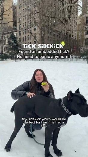 Tick Removal Tool for Embedded Ticks !! Built in Flashlight, Tick Hook and Retractable Tweezers!