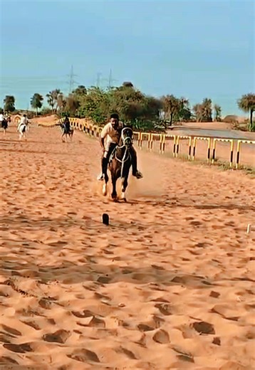 ‏Safeer maqsood Horse prince of kashmir