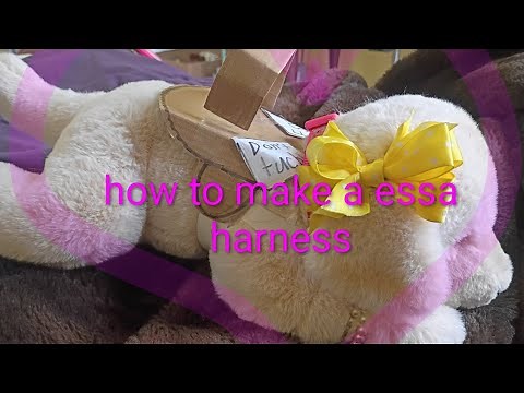 🦮tut: how to make a essa harness 🦮
