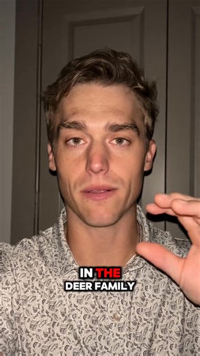 4.4K views · 35 reactions | Moose finds Halloween monsters that forgot to inflate! What's your favorite spooky season surprise? #Moose #SpookySeason | Oddcat cosplay | Facebook