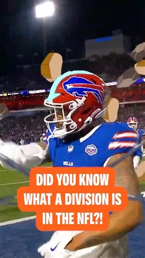 do you know what a division is in the NFL? 🤔