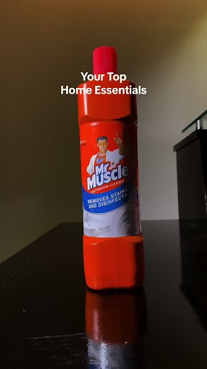 Mr Muscle, Glade & Ridsect on TikTok