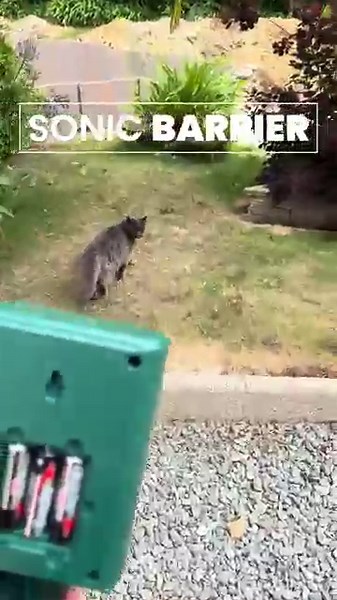 ZeroCat - Sonic Barrier Customer Review #3 - Ultrasonic Cat Deterrent
