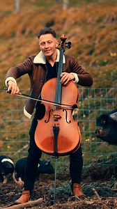 Bella Ciao - Cello 🎻😘🐖 #cello #cellomusic #cellist #bellaciao | Jodok Cello