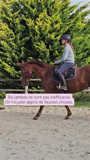 Equit’ & Move : Mieux comprendre le fonctionnement en selle