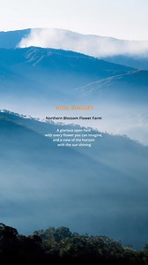 Frolicking through a field of flowers feels so magical! 💐🌷🌸 Janel & Kristhan Engagement Session at Atok, Benguet❤ | The StoryTeller Studio