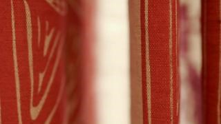 Once one of the most endangered buildings in England, Calverley Old Hall reopened last year following a remarkable journey of repair and renewal. Few know its story as intimately as Project Engagement Officer Hannah Thompson, who has spent the last three years breathing life into its legacy through workshops, events, hands-on training, and the revival of traditional craft skills, shared with volunteers, trainees, and apprentices alike. Now reborn as a Landmark, Calverley Old Hall welcomes groups