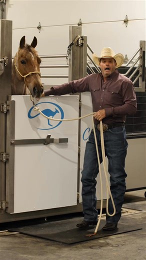 45K views · 1.2K reactions | One of the most common questions we get asked about using our Cold Creek Equine spa is if it deteriorates our horses’ hoof quality? The answer is no. #coldcreekequine | Downunder Horsemanship | Facebook