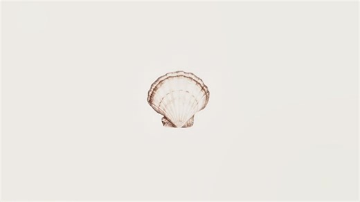 #MOONSHELL heheh #moonshelldandysworld #moonshelledit | dandysworld