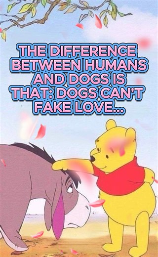 THE DIFFERENCE BETWEEN HUMANS AND DOGS IS THAT: #fblifestyle | Think Positive Power