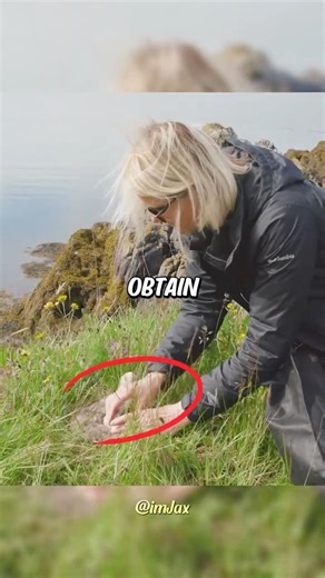 The Most Expensive Blanket Material Worth $10K