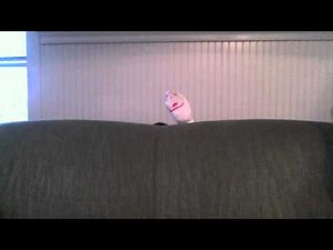 Card Stacking Propaganda