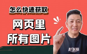 前端利器，一键下载网站所有图片