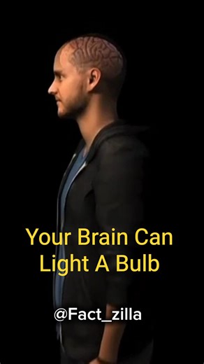 “Your Brain Can Light A Bulb 😳