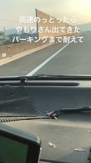 友達の面白いストーリーとヤモリ