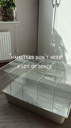 If it can’t even fit their basic needs…is it really suitable? Let’s try to set up this 70x50cm pets at home cage! Video credits to @Petswcourt 🪿:) #hamster #syrianhamster #animals #petsoftiktok #foryoupage