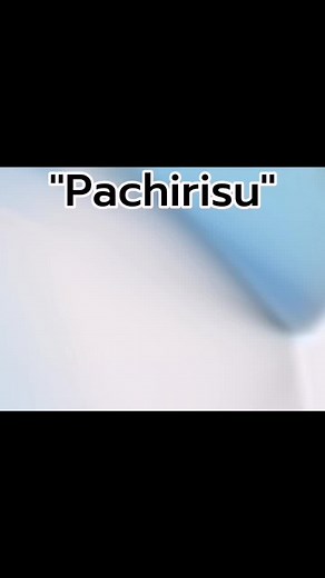 Pachirisu Final 2014 Edit Memes | Pachirizu