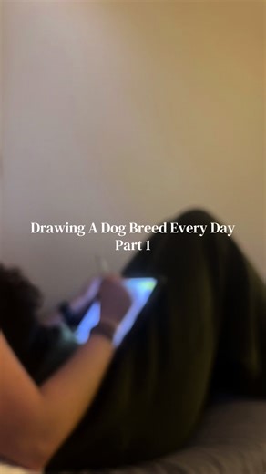 Custom Drawings of Labrador Retrievers