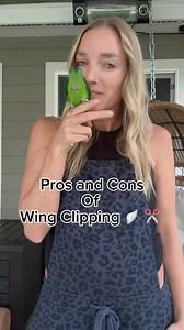 Pros and cons to wing clipping: Cons: 🪽Not being able to get from A to B on their own will often times make a bird lose confidence in itself and its abilities. This results in a bird being too nervous to try. 🪽A clipped bird can become injured more easily from falling or not being able to get away from danger. 🪽Clipped birds can’t get proper exercise and often times become obese leading to diseases like fatty liver and heart disease. Pros: ✂️Clipping shouldn’t be considered unless it’s on a m