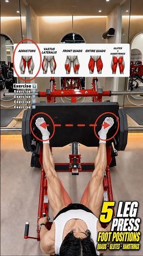 🔸5 Leg Press Foot Placements How Foot Position🔥 #legday #legs #gymtips #youtubeshorts