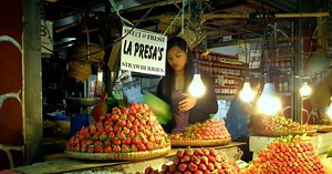 Nan Layad Nan Likatan Song (Lyrics And Videos)