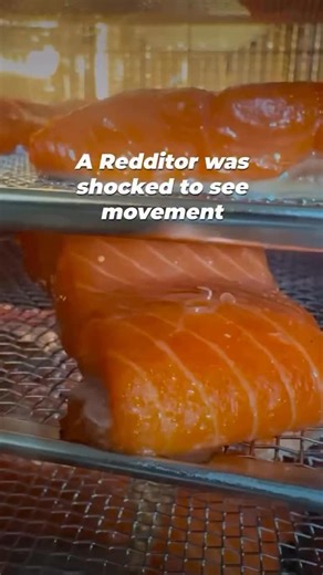 Let’s talk about the worms in your salmon… 🐟🪱 Yep, it’s not just a “rare” thing. Studies show up to 90% of wild salmon are infected with parasites like Anisakis — a nematode that can burrow into your gut lining and trigger: 🔺 Allergies 🔺 Gut inflammation 🔺 Autoimmune-like symptoms And farmed salmon? Even worse. They’re often fed toxic pellets, live in disease-ridden tanks, and get doused in pesticides to kill sea lice — while still being sold as “healthy.” Here’s the truth: You can’t avoid 