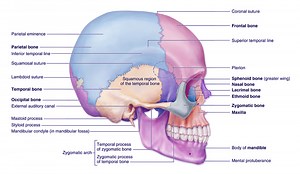 Cranial Sacral streaming in english with english subtitles in 2160 16:9