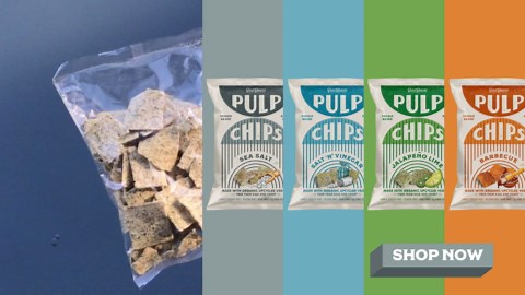 Pulp Pantry Grain Free Veggie Tortilla Chips – 2 Pack – Spicy Barbecue Flavor – Corn Free, Potato Free, Grain Free, Gluten Free, Non GMO, High Fiber, Low Net Carbs, Vegan, Paleo Snack Food