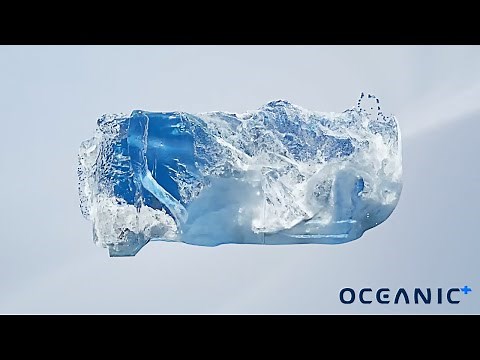 Oceanic+ Dive Housing