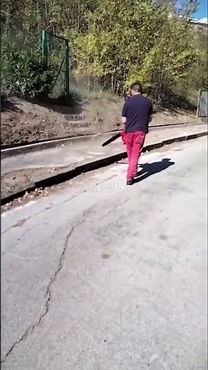 Déblayage de feuilles avec le Souffleur de feuilles BB 248 Geotech