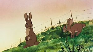 Watership Down (1978) Full Movie HD