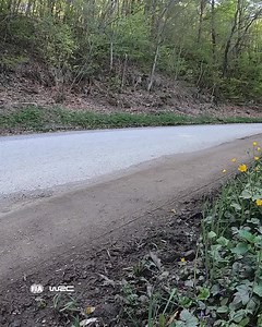 55K views · 2.7K reactions | Our top 5 reasons to tune into Croatia Rally this weekend  You can watch every stage LIVE at plus.wrc.com  #WRC | #CroatiaRally | WRC - FIA World Rally Championship | Facebook