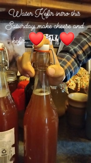 A couple spots left in our THANKSGIVING BRIE and water kefir class. PM to reserve your spot! | HAPPY COW | Facebook