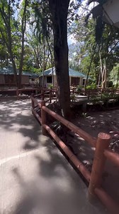 🏖🌴 A HIDDEN PARADISE IN CAVITE! 🌊 🚗 50km away from PITX CAYSUBIC BEACH RESORT 📍Puerto Azul Complex, Ternate Cavite Entrace Fee is just ₱300 (adult) ₱150 (kids below 7) (Beach and pool) 🏠 Cottages starts at 🏠₱300 only (tables and chairs) 🏠₱2,000 only for 10-20 persons 🏠₱3,000 only for 20-30 persons Check in for overnight is also available! 🏠 Airconditioned room with fridge starts at ₱4,000 only (Entrance fee is INCLUDED) ✅with pool for adult and kids ✅ Eco Friendly ✅ Budget Friendly ✅ N