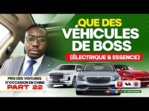 Used Car Prices in China | Part 22 Luxury Electric and Gasoline Vehicles