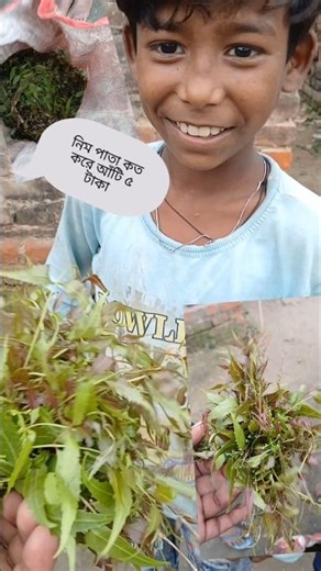 nim pata koto kore 5taka aty, #sort #name pata #teto pata