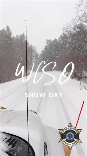 Staff Therapy K9 Milo experienced his first snowfall today! Lots of clean up as the snow keeps falling. ❄️❄️ | Worcester County Sheriff's Office