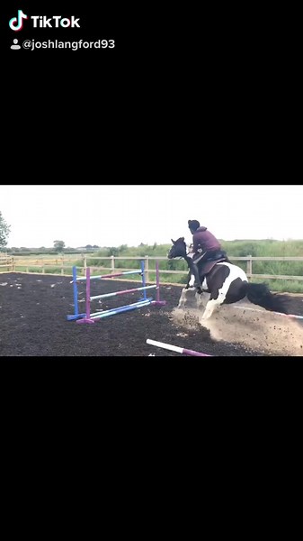 Josh Langford on TikTok