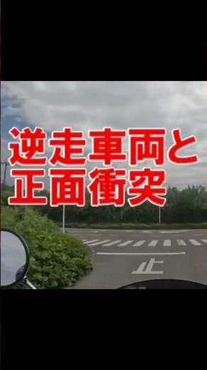 一時停止で逆走車両と正面衝突 #事故 #老人 #逆走